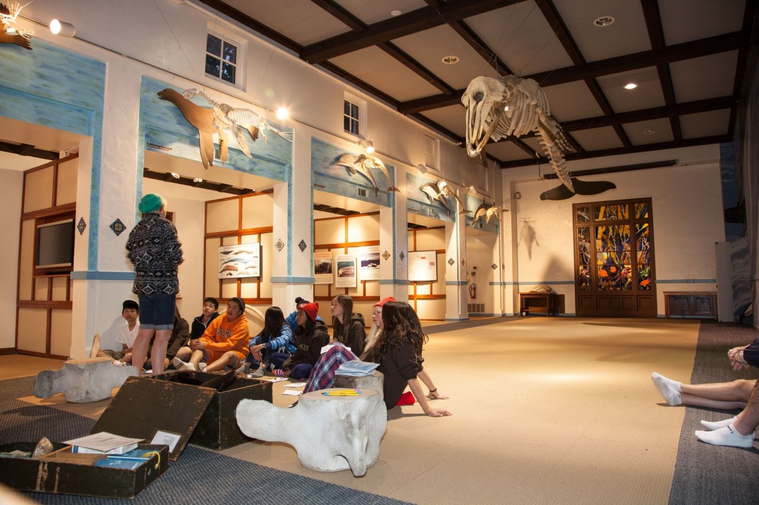 Marine-Mammals-Toyon-e1403024314284